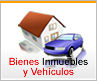 Bienes Inmuebles y Veh�culos
