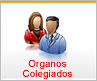 Organos Colegiados